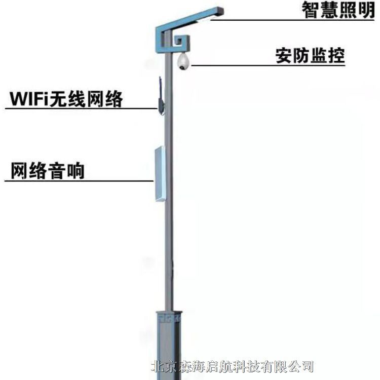 智慧路燈 長(zhǎng)期供應(yīng)戶(hù)外照明燈具